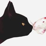 杏子爱读科技