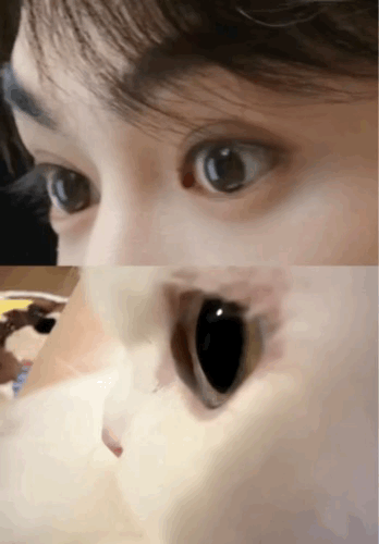 忘记在哪里存的 聊天聊到猫塑就翻了出来真的很萌！ 