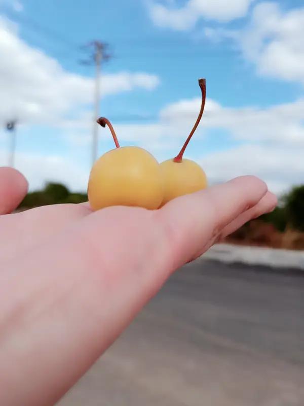 做自媒体，原因其实挺多。生活里我就爱分享，看到好玩的事儿、好吃的美食，都想跟人说