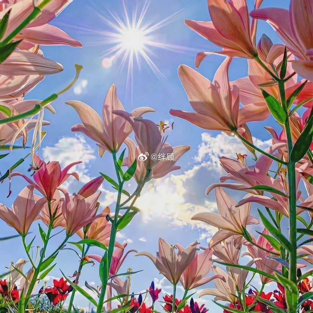 本周结束前，你期待的会实现！ 