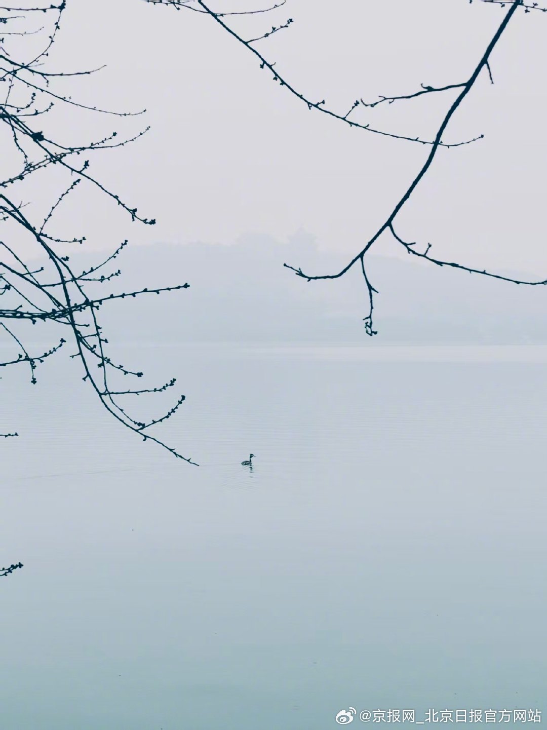 【#来感受颐和园雨雾下的浪漫#】#春雨下的颐和园美成了水墨长卷# 3月2日，北京