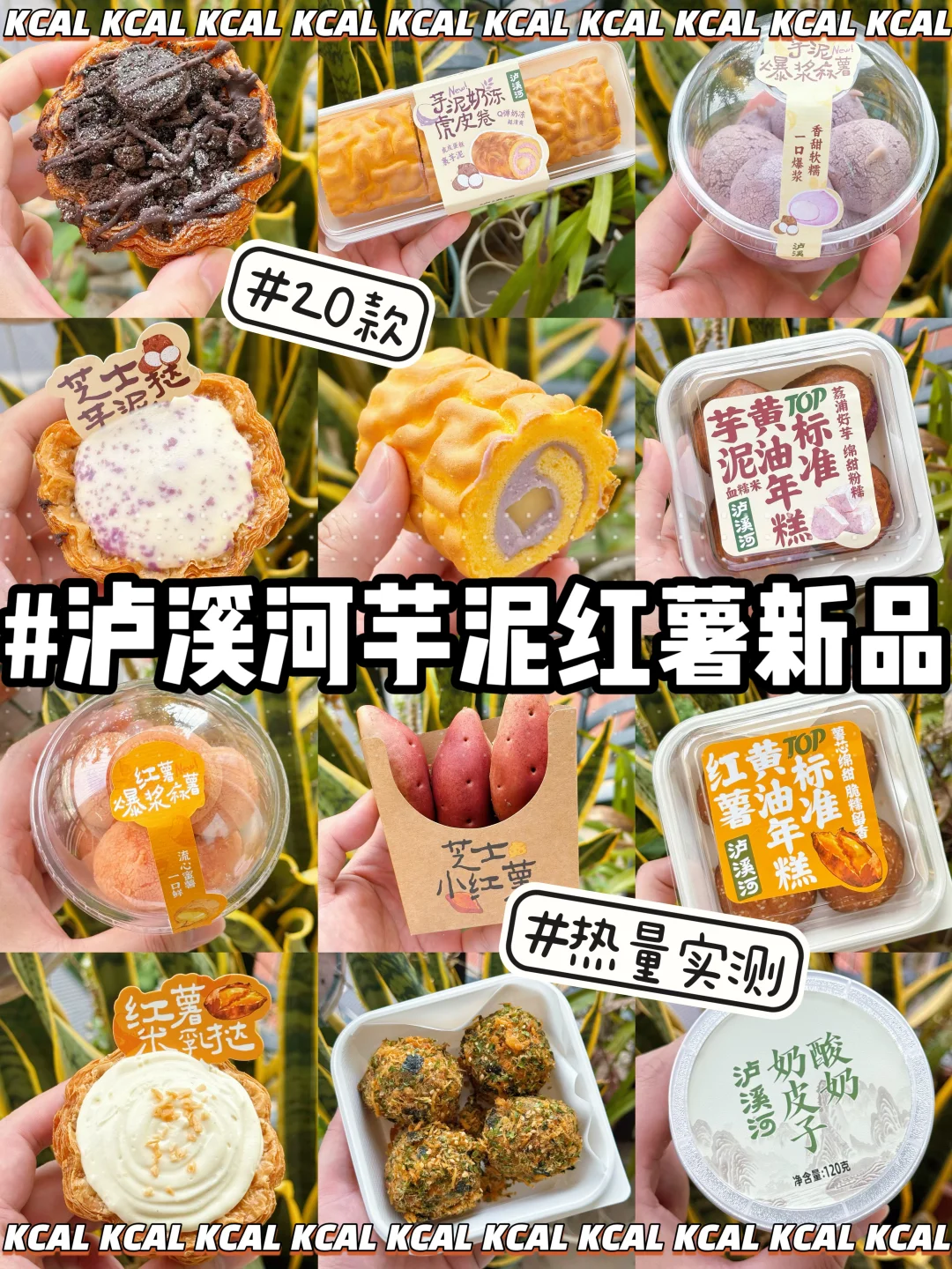 泸溪河热量测评‼️芋泥红薯新品🆕98款全拆解