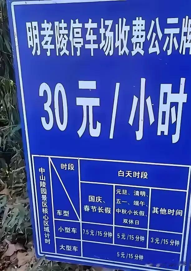在南京的一次旅行中，一名游客的遭遇引发了社会热议。当她选择自驾游南京明孝陵时，却