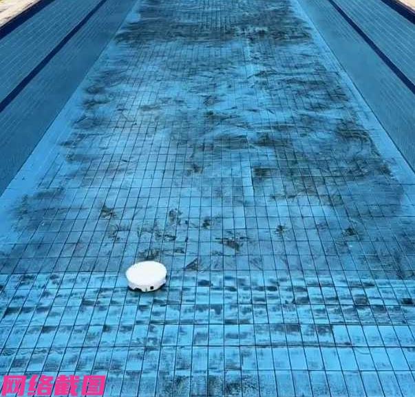 广东有男子想要启用自家的泳池，只为一个冬天之下，泳池内的卫生要大清理，这可不就是
