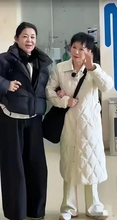 神奇啊！
倪萍蔡明这对姐妹年轻时一点也不像，
怎么老了以后越长越像呢？
一样饱满