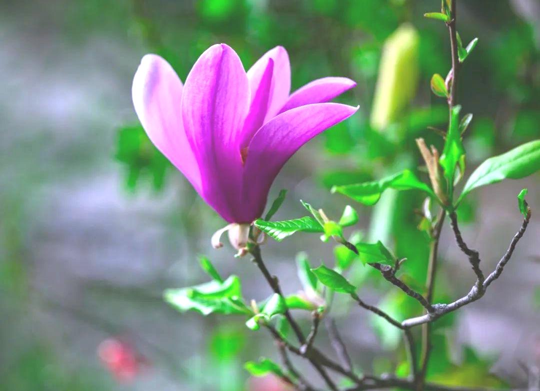 人都喜欢拍照打卡

小时候攥着糖纸舍不得丢，长大了举着手机拍遍街角巷尾——人对“