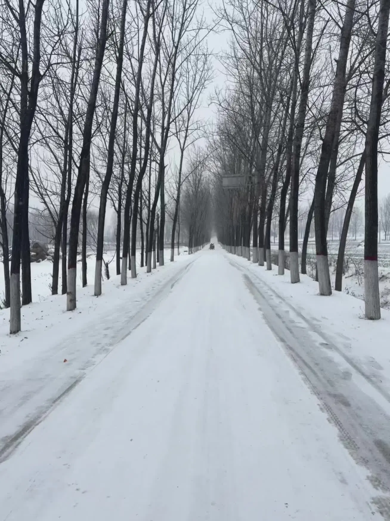 河南人不语 只是一味地想回家