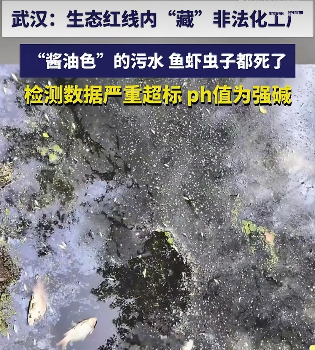 村头化工厂酱油色污水致鱼虾全死“先污染后治理”的惨痛教训再次上演。乡村振兴不是把