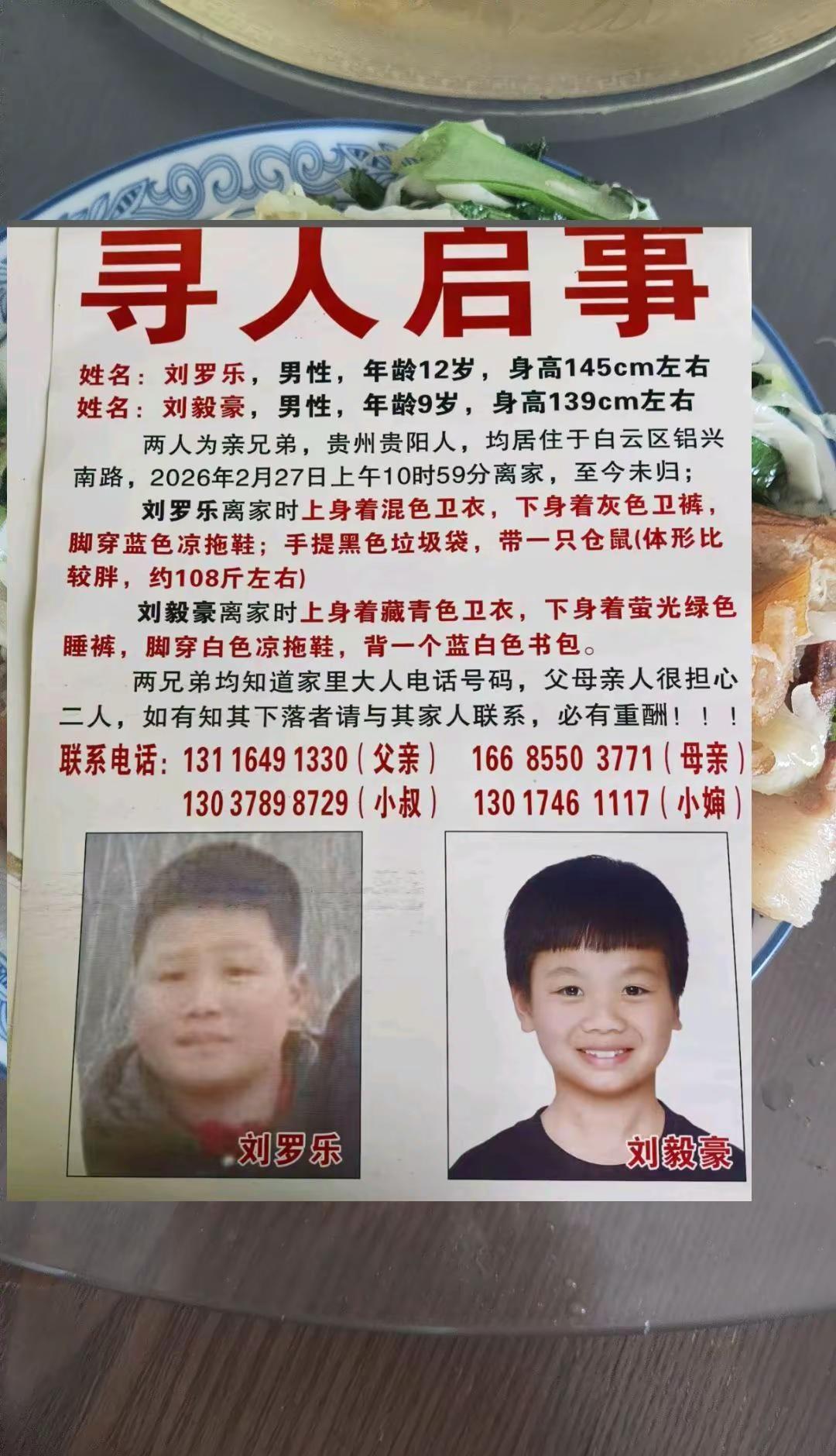 两兄弟失踪寻人启事求好心人帮忙