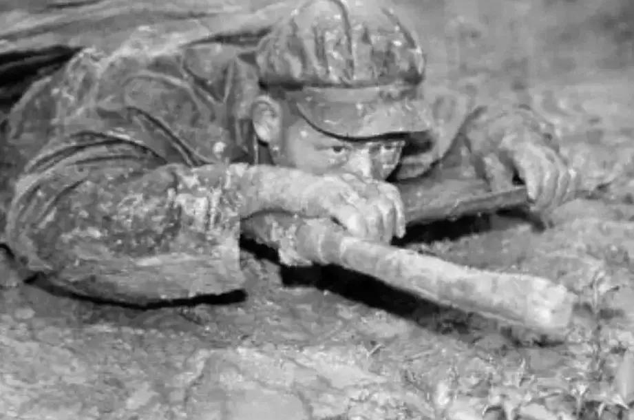 1979年，中越边境，一名战士在巡逻时，突然发现玉米地里有动静。

他走过去一看