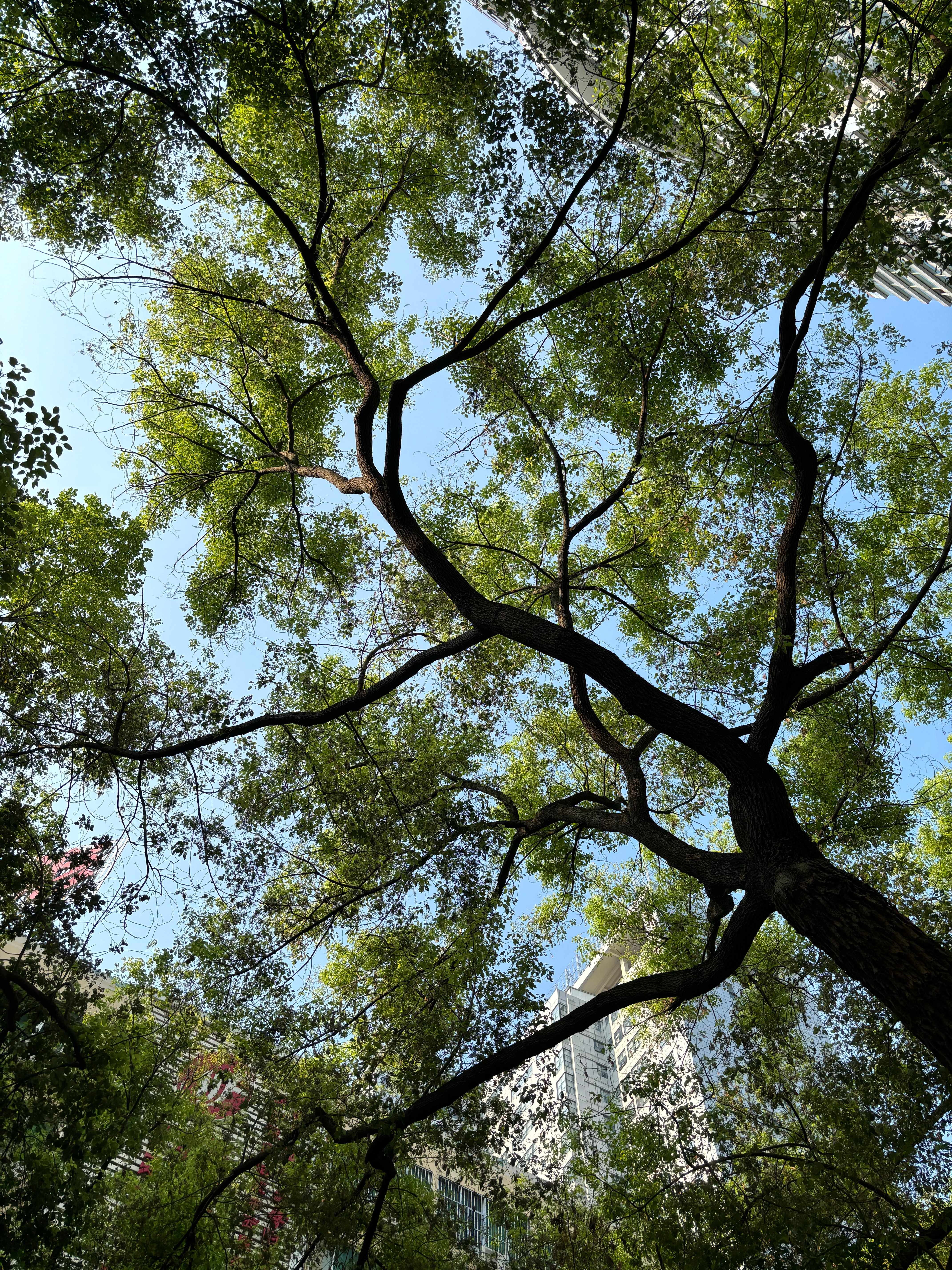 无端疲惫来袭，思绪乱作一团🌫️总是冒出各种消极零碎的念头，明明没有难过的事，却