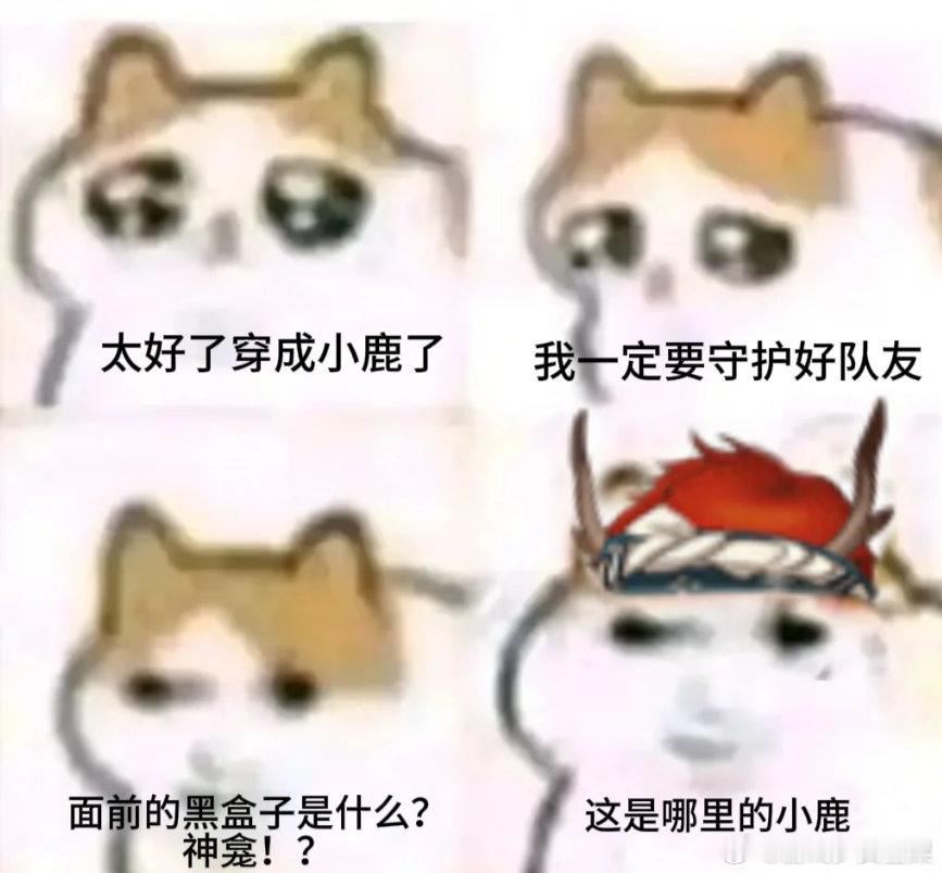 假如你穿成阴阳师的式神[doge]这个梗图笑死我了哈哈，酒吞和茨木的那个尤其搞笑