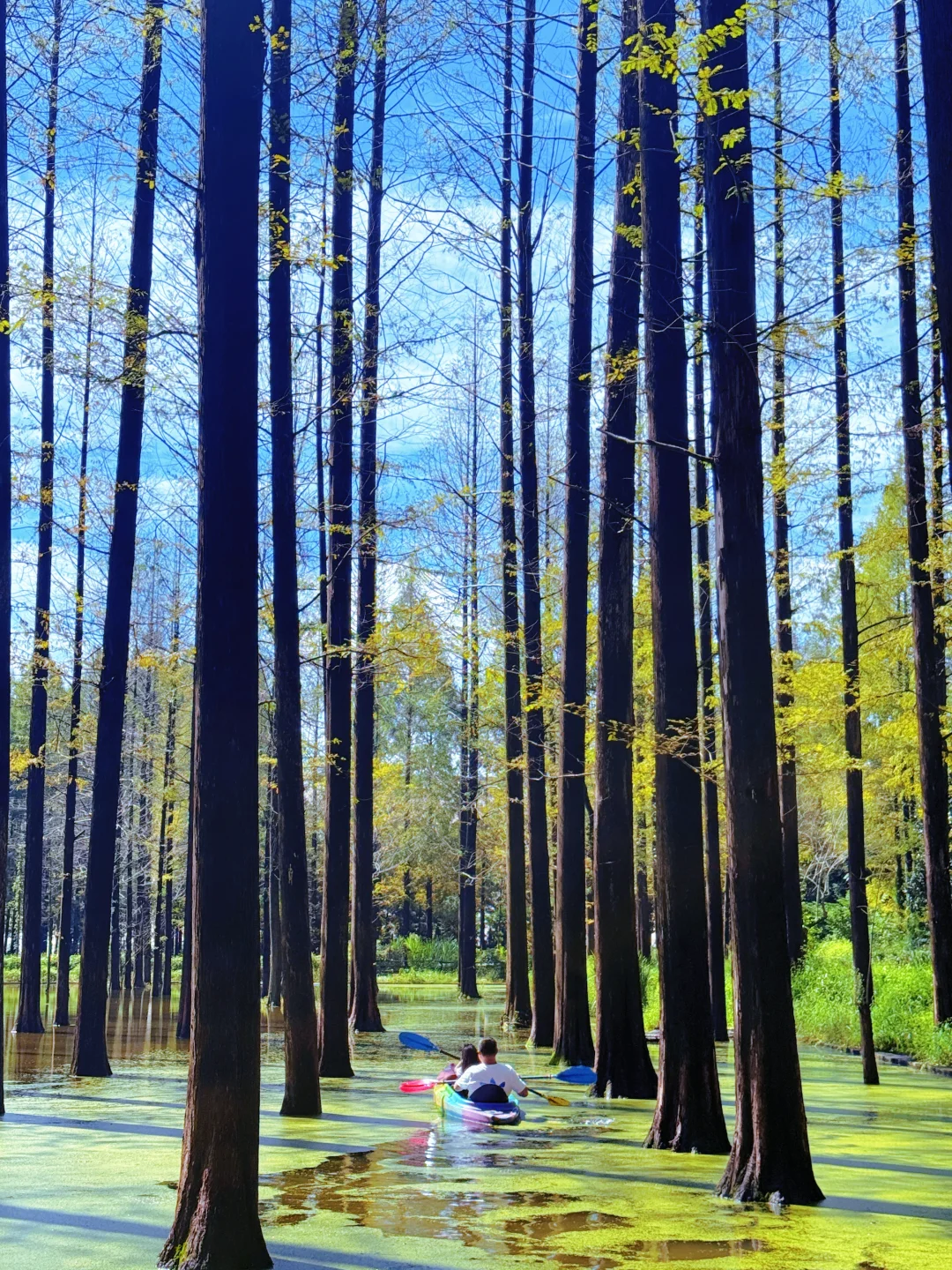 信阳2天1晚亲子路线🔥带娃逃离城市看山水