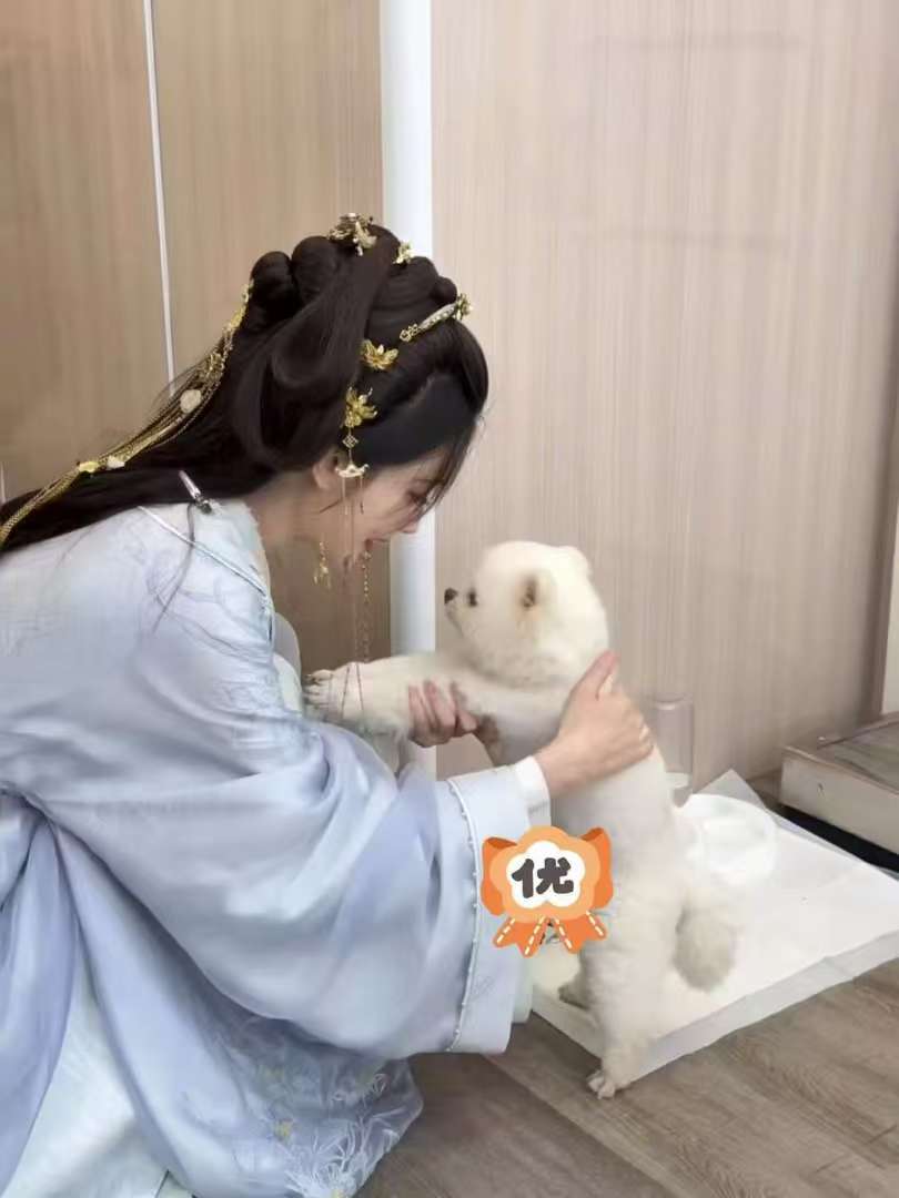 孟子义黄桃罐头会保佑每个东北孩子 孟子义汇报一下近日碎片  孟子义黄桃罐头会保佑