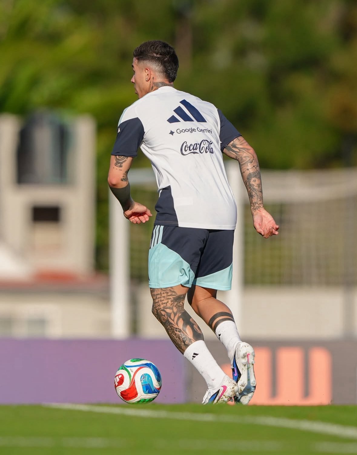 国家队的恩佐切尔西