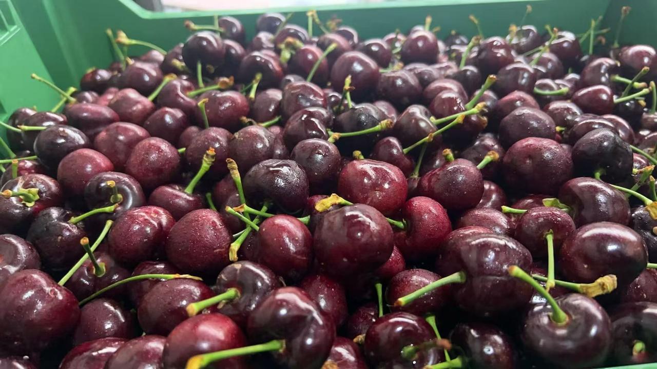 今日水果
云南大理