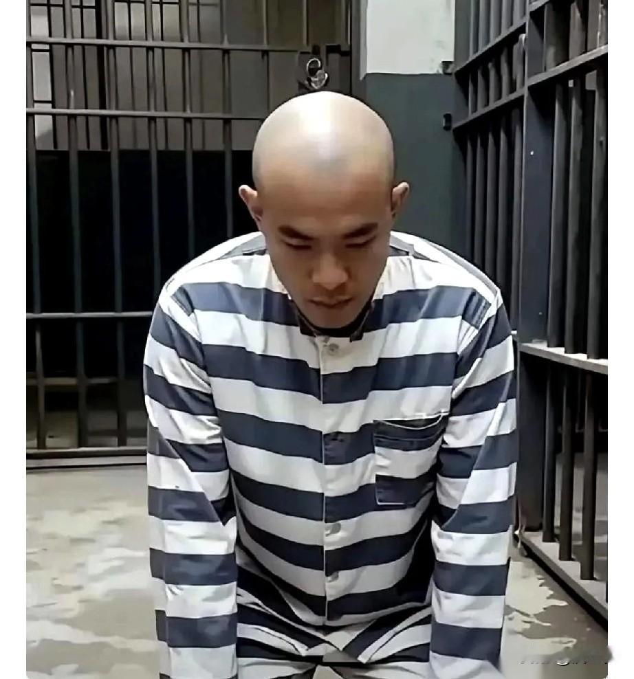 小金毛的二审通知书正式下发了：
该案于2026年1月13日在肃宁县人民法院不公开