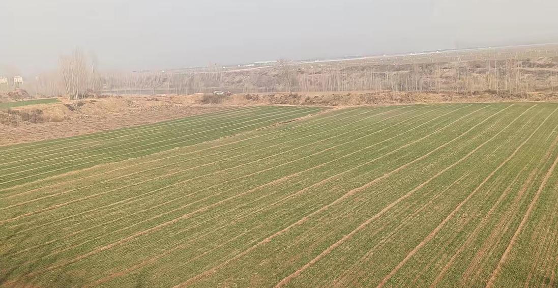 2026年3月30日，新修订的《殡葬管理条例》正式施行，以公益惠民、文明节俭、绿