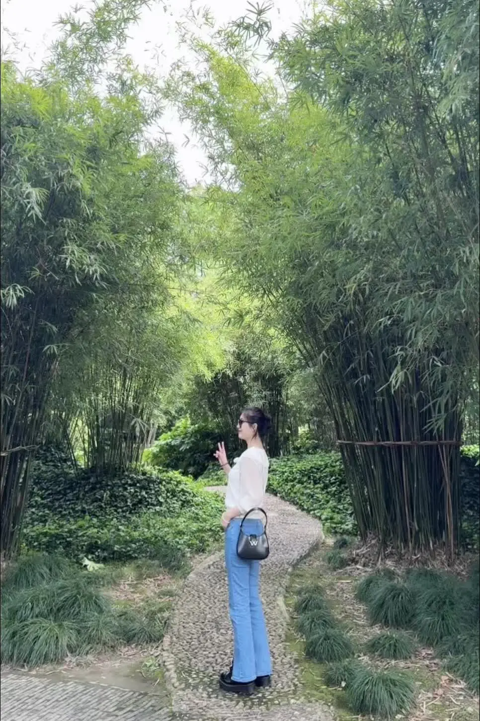 藤树下开花 我是我的春天