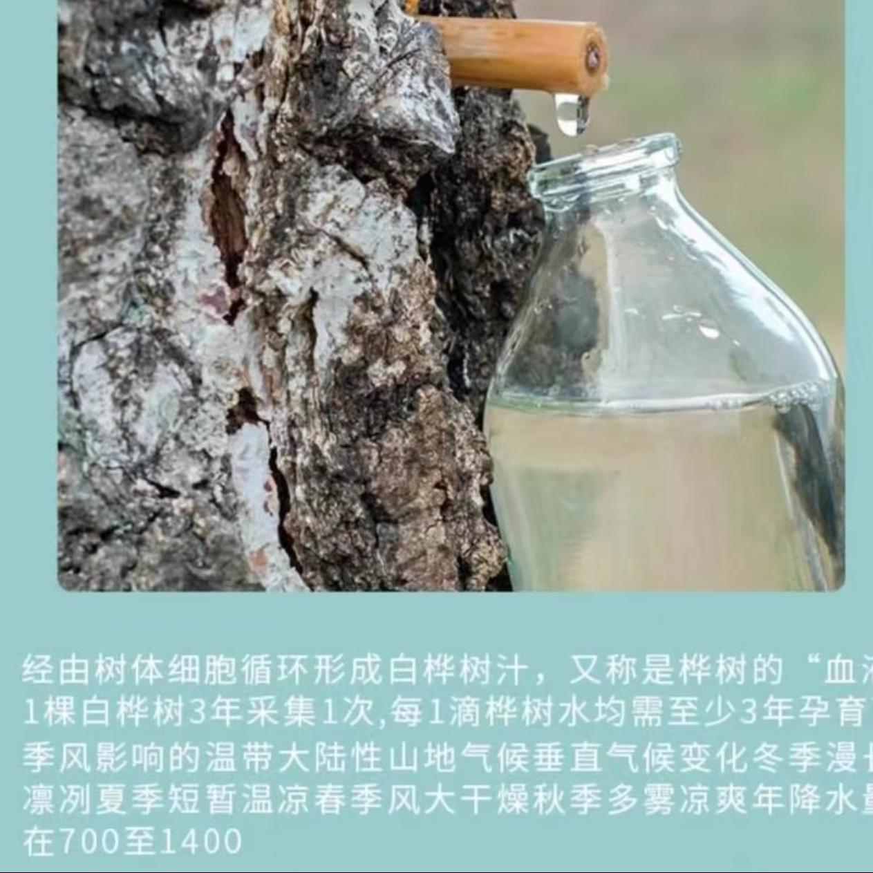 五月初，有七个人趁着深夜，偷偷摸进了大兴安岭深处。
 
一行人带着电钻、导流管这