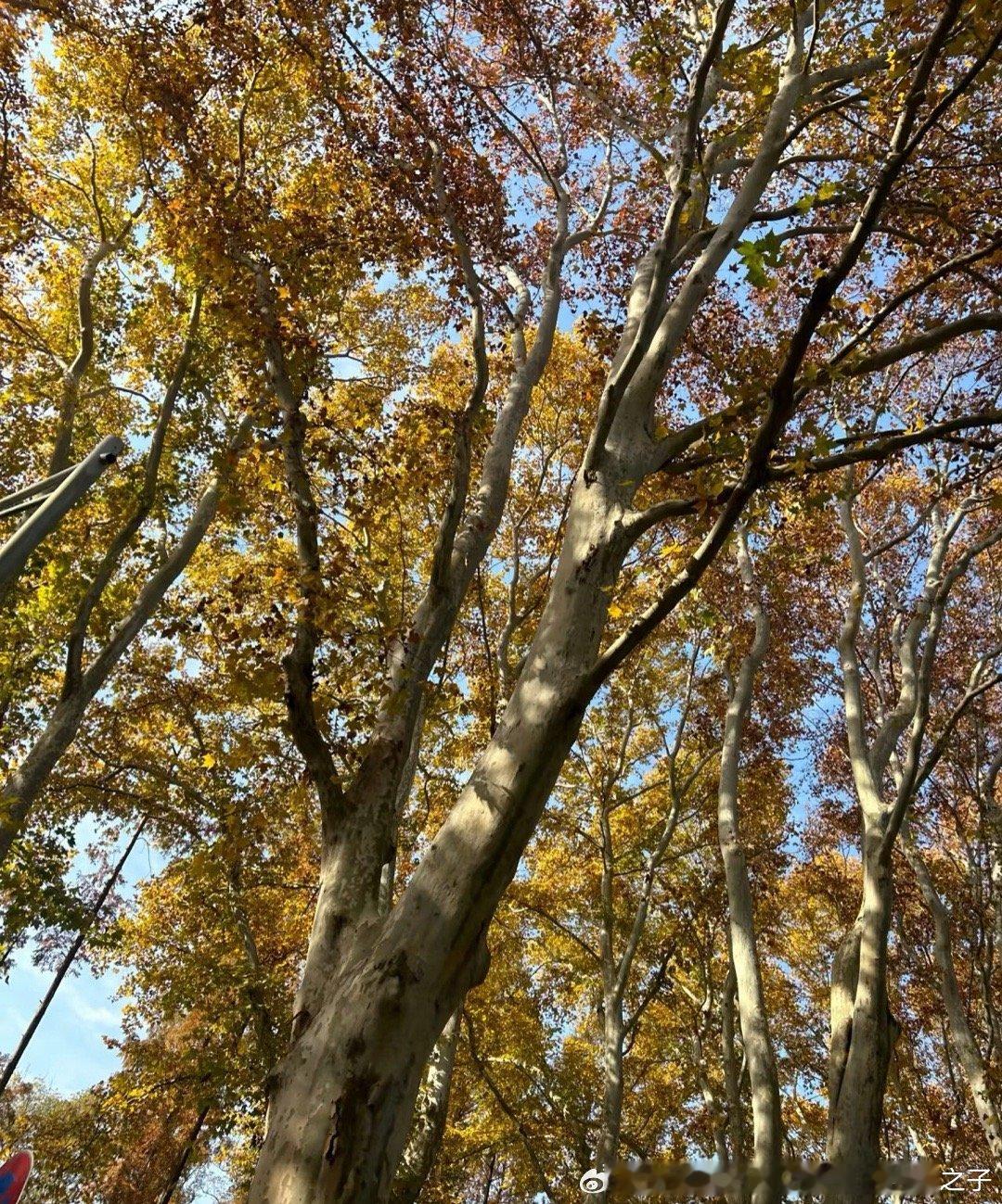 找寻秋冬的太阳，不仅让身体暖，也让心里暖，最健康的解压方式 