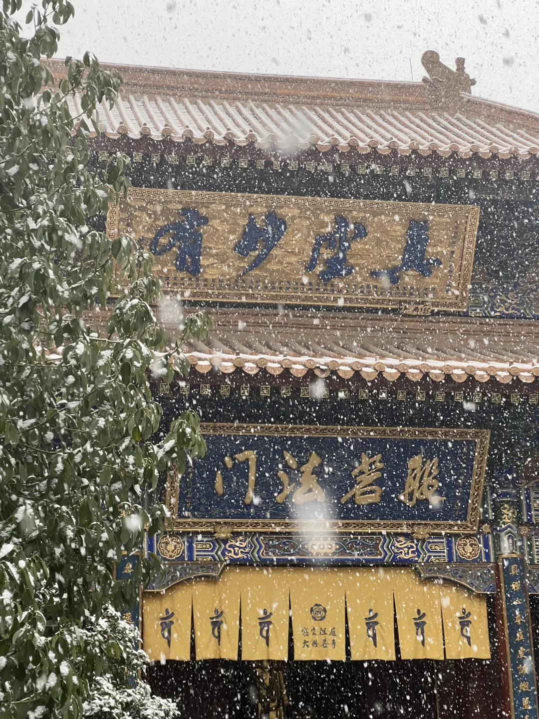来西安旅游！！直接开了暴雪盲盒！！