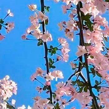 每日一善 阳光信用每日一善 人生一日或闻一善言，见一善行，行一善事，此日方不虚生