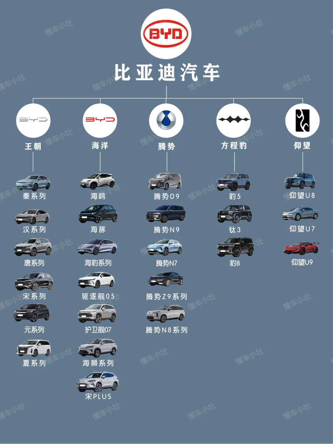 🔥盘点各品牌车型有哪些❓