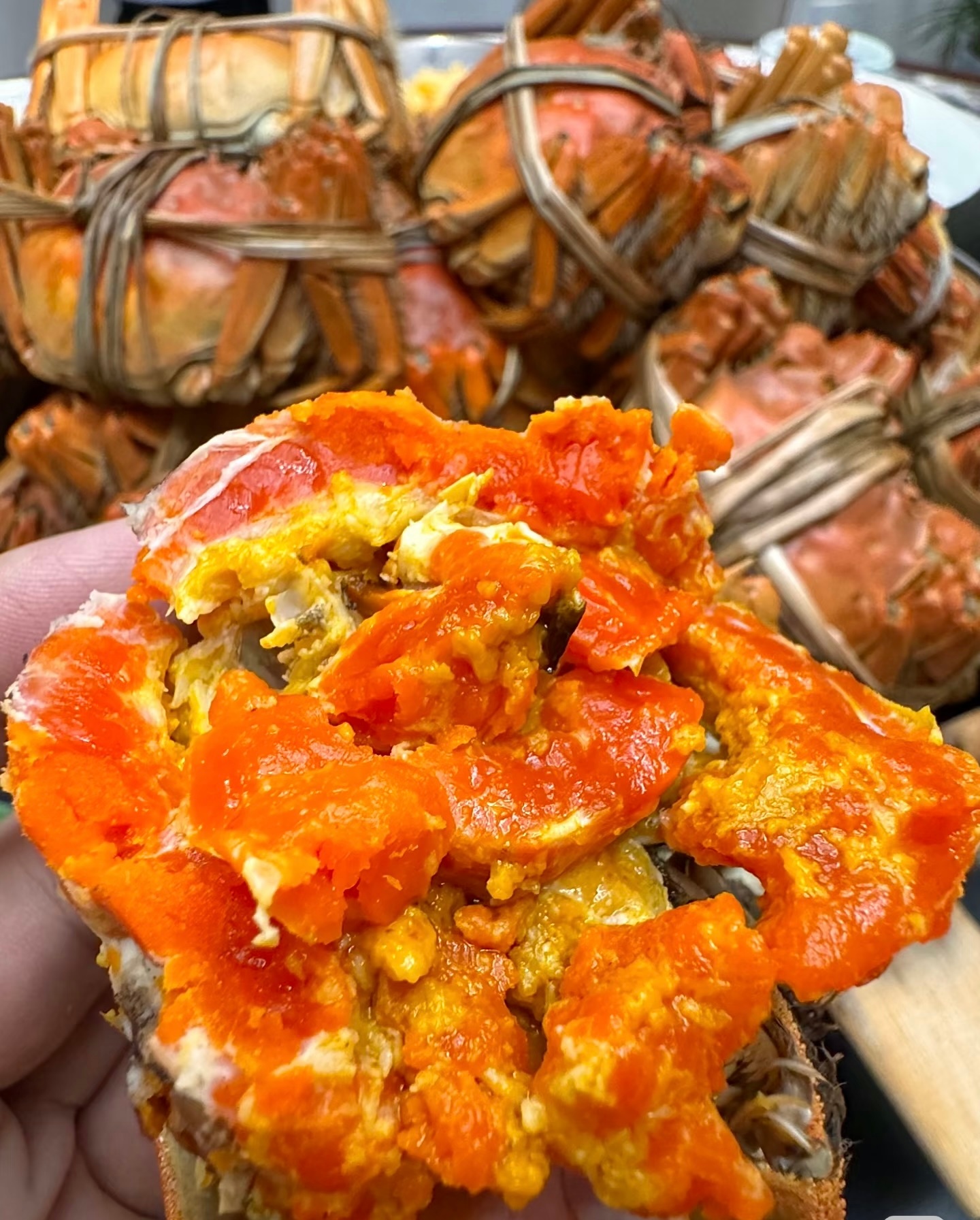 一抓一个大河蟹的快乐就爱吃这种满黄流油的大闸蟹，又到了吃螃蟹的季节了，我要大吃特