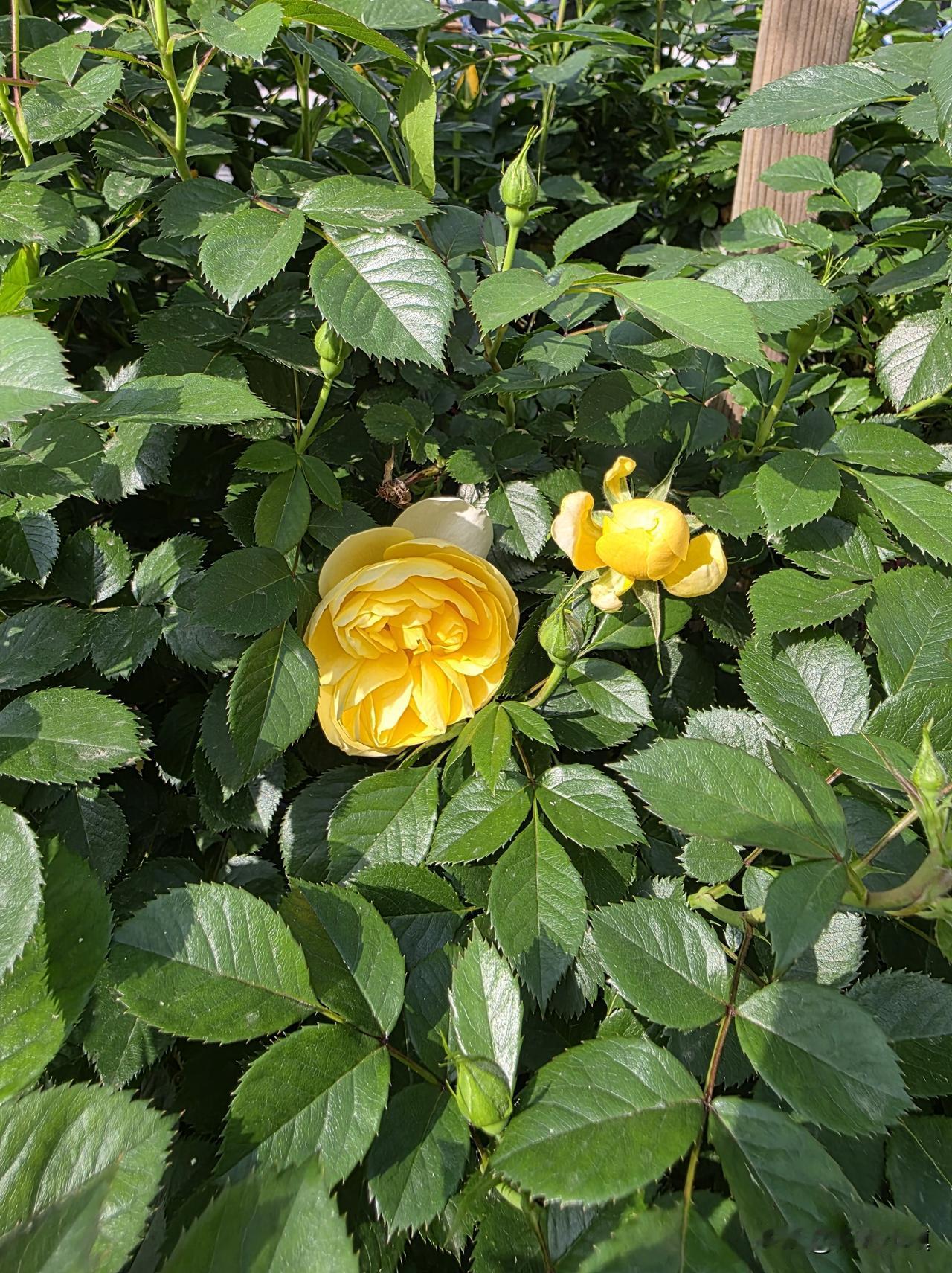 不用说你们，我也很讨厌现在的自己……

62岁的人，人生已没有多少美好的时间，还