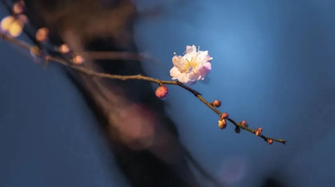 看病还得去大医院。

张姐退休后就一直帮着女儿看孩子，我们都羡慕她的职场和家庭之
