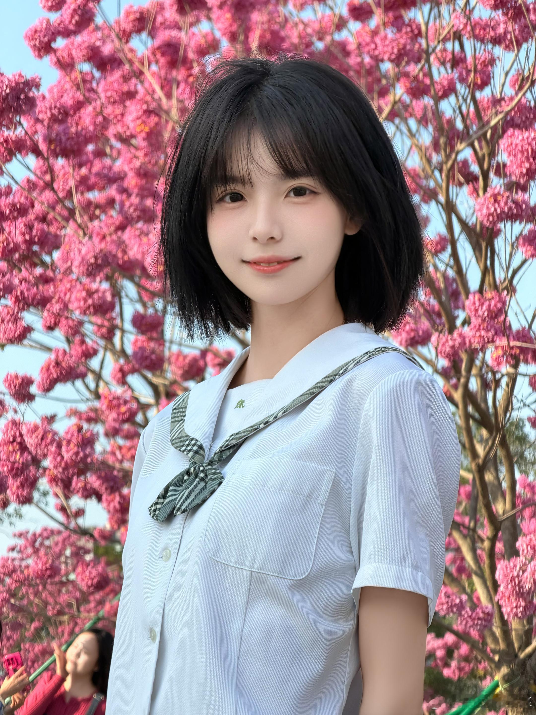 冬天 是拍花花的季节 