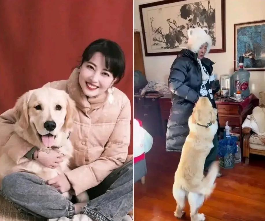 李勤勤高调收养周海媚的狗，其实就是收养了个麻烦。
这狗一旦有点什么病痛小灾，或者