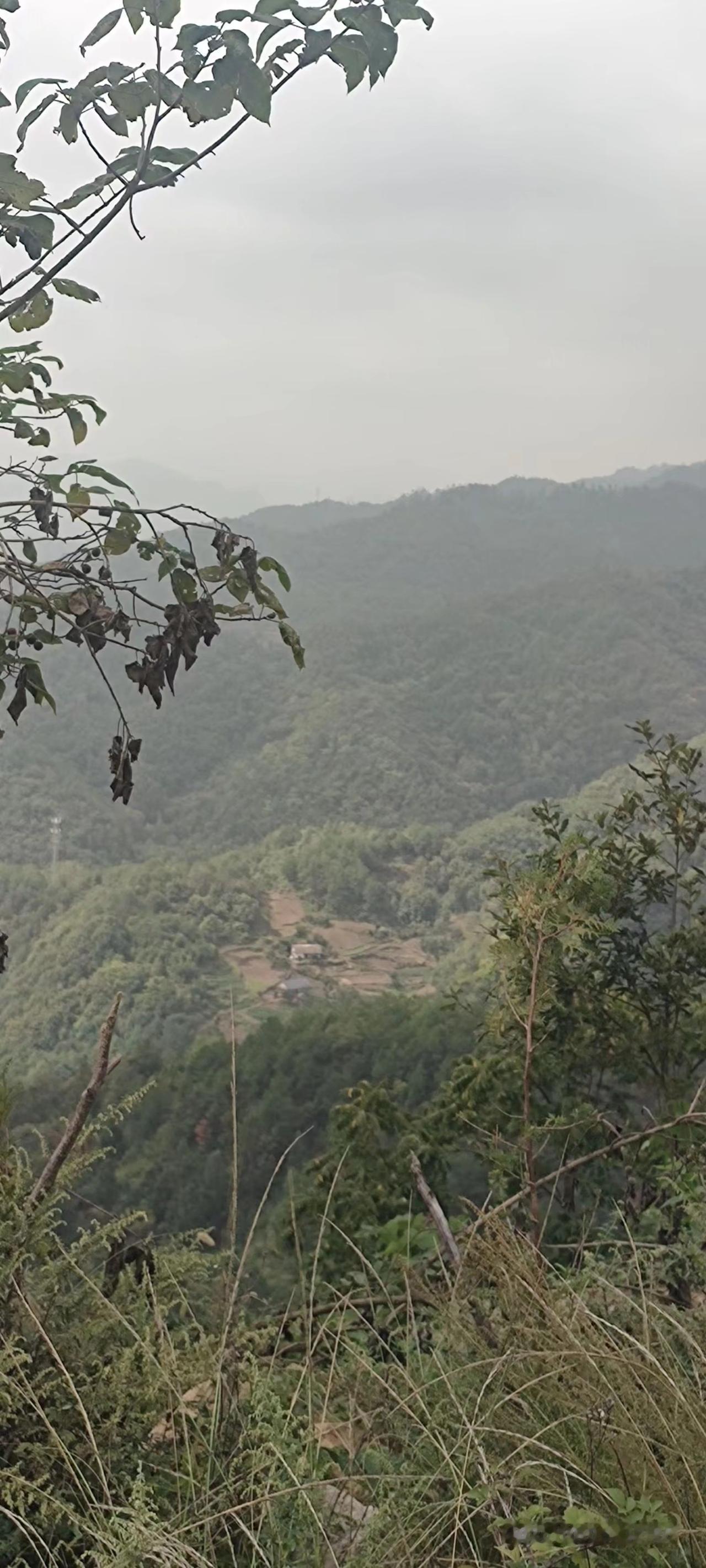 老家的蓝天有多治愈《登高望远，看山间人家》站在山坡放眼望去，层层山峦连绵不断，山