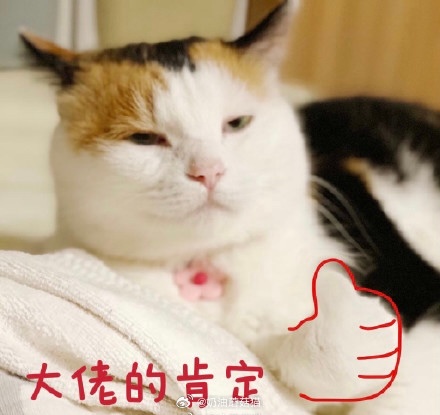 2026年6月26..今天的蘑菇真的6！早上，走在路上..一个老太太飞快的骑着电