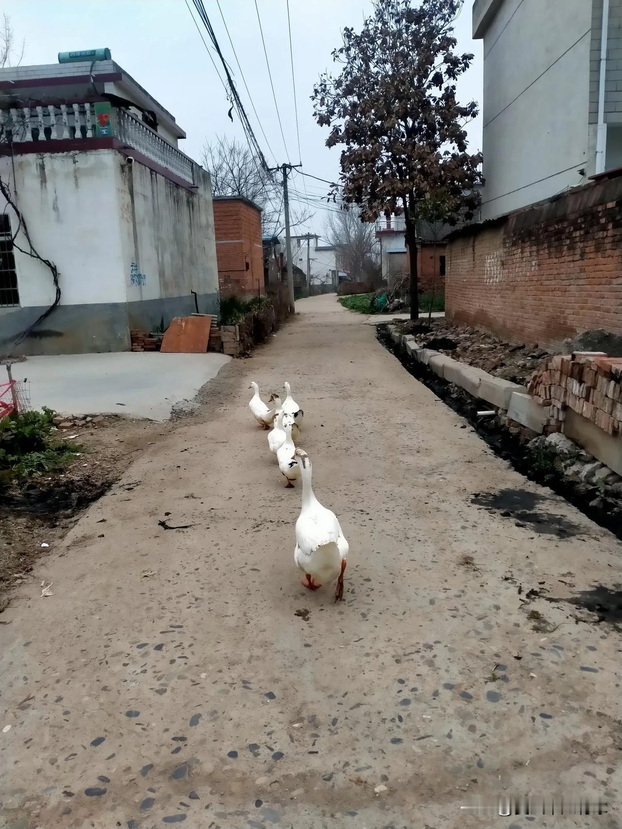 我发现有许多人不会吃饭，就是不知道什么样的食物，吃了之后对自己的身体有益处，也不