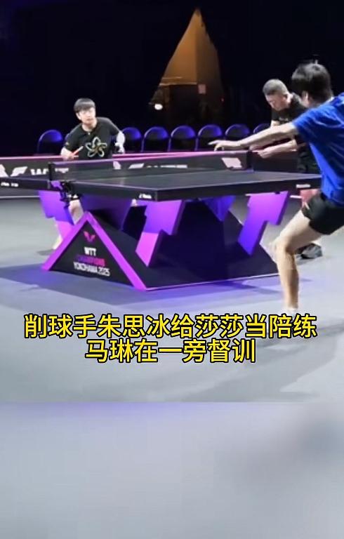 对莎莎好的人我看着就欢喜。马琳指导莎莎后，我对他也有了好感，这就是爱屋及乌吧[碰