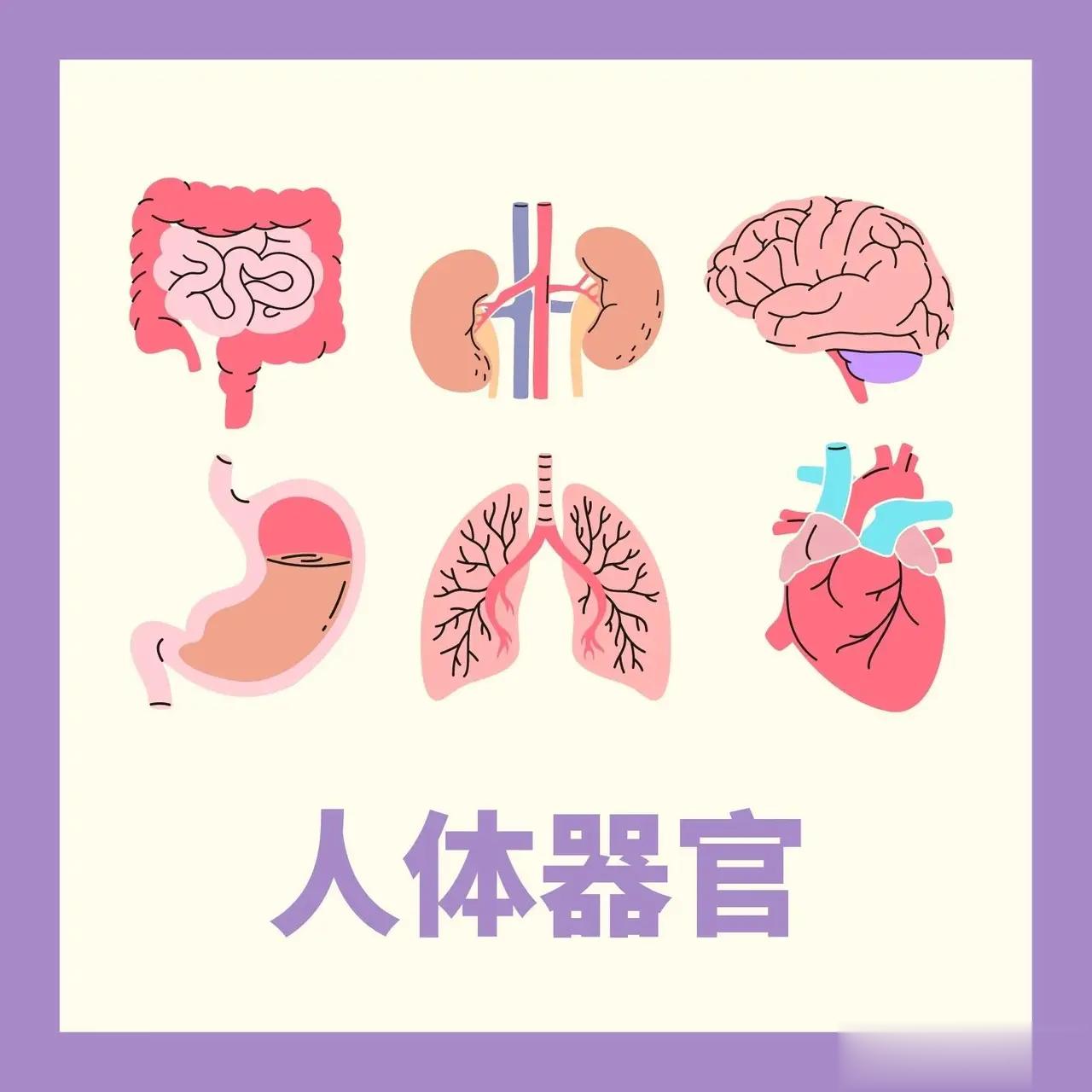 【精血、肝血、心血、阴血不足，是时候该补血养血了】第一，精血不足常常出现头晕，胸
