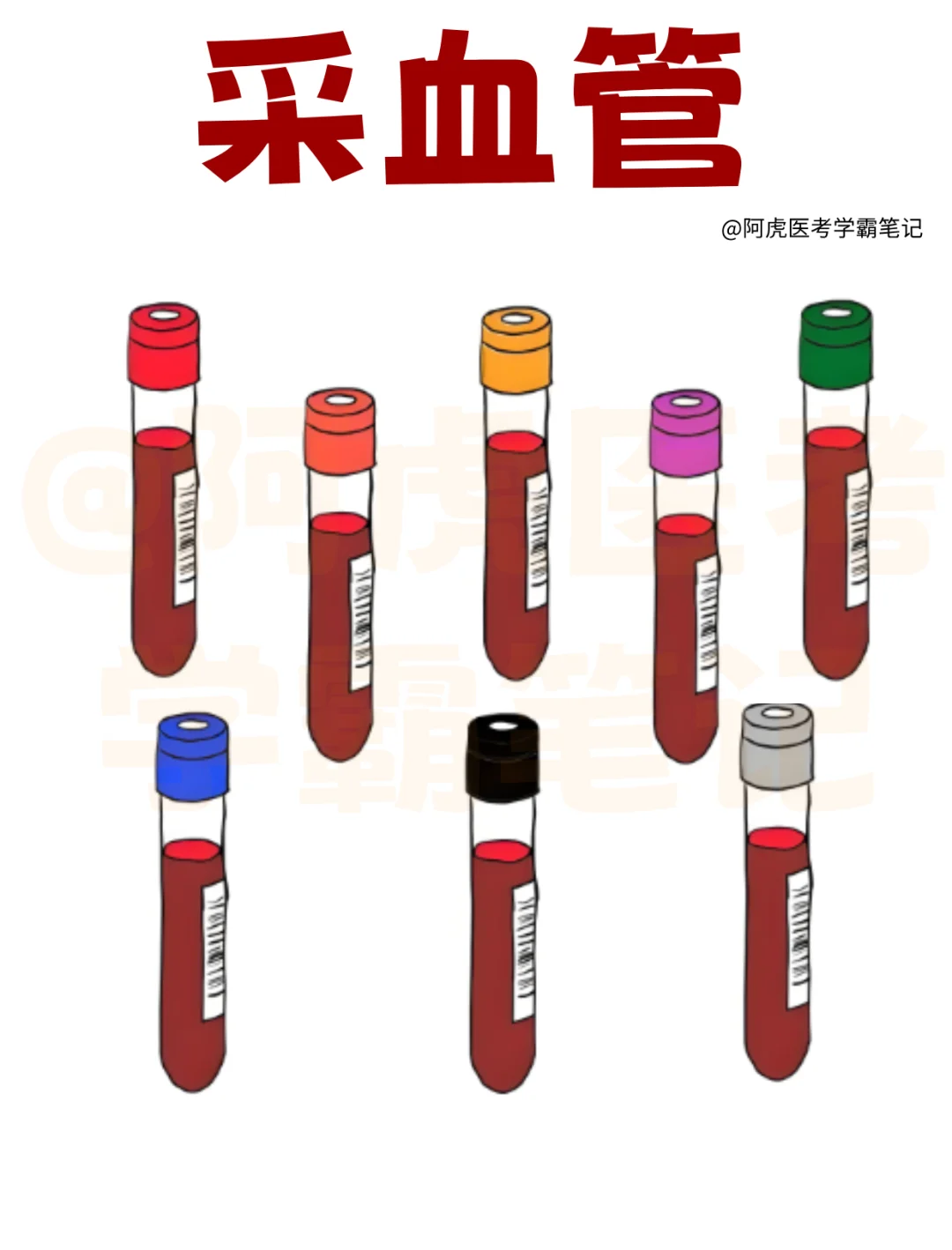 医学生笔记📒｜采血管👆