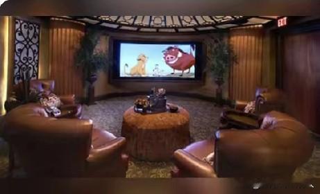 当这些被玩腻了的行业逐渐消退的时，又出现新型的私人陪侍影院，这种有偿服务，客人到