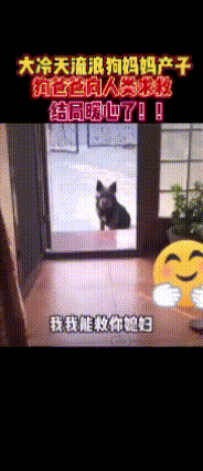 家人们，真的相信万物皆有灵！

      这可不是什么玄幻故事，是实实在在发生
