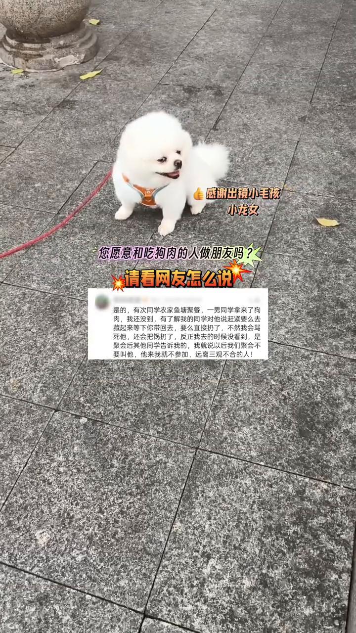 感谢出镜小毛孩。
小龙女，您愿意和吃狗肉的人做朋友吗？请看网友怎么说。
是的，有