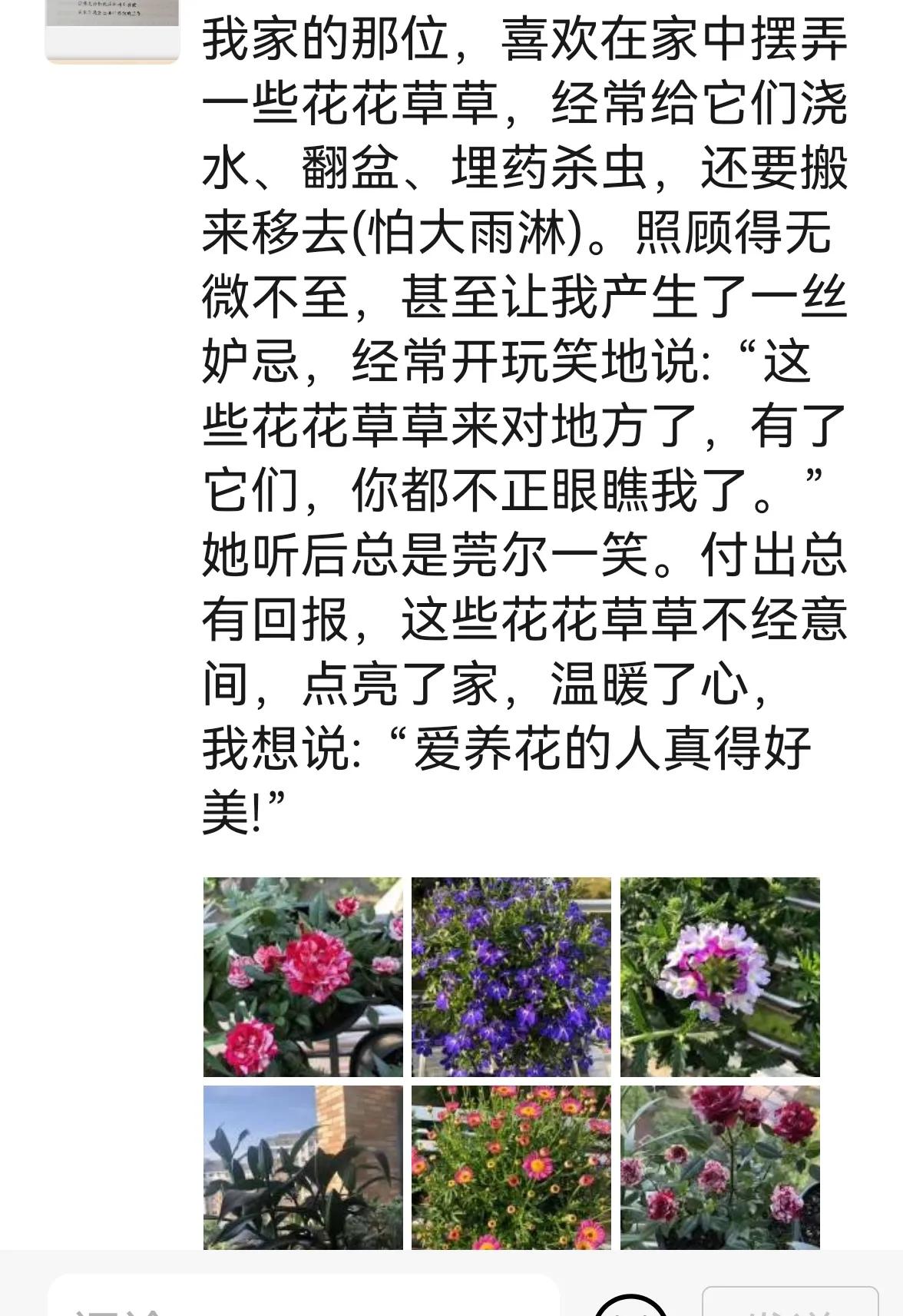 老手说股：（1）
有的人喜欢养宠物，做铲屎官；有的人喜欢种花花草草，比如我老婆，