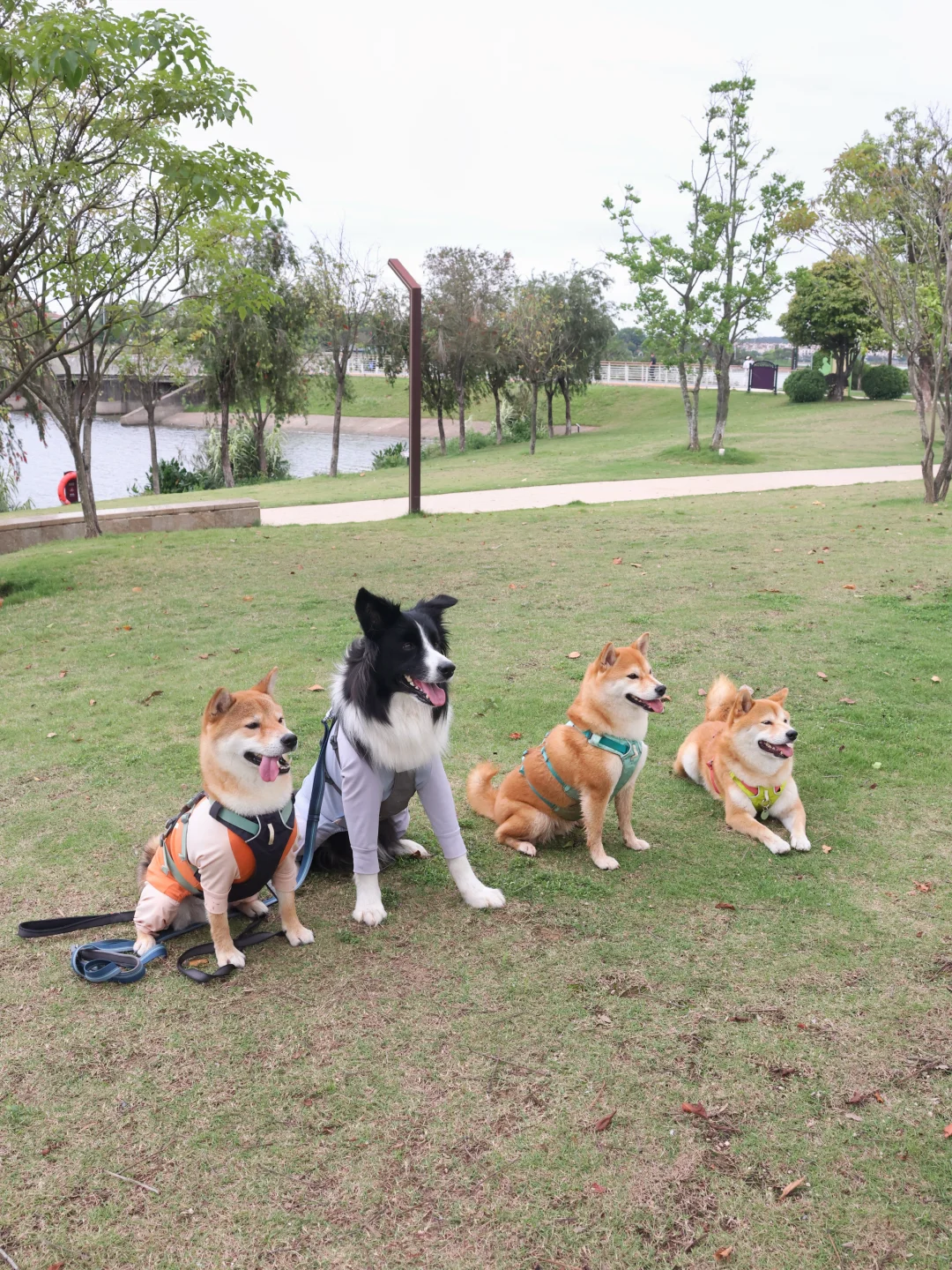 清明第一站 藏在城市里的花斗水库