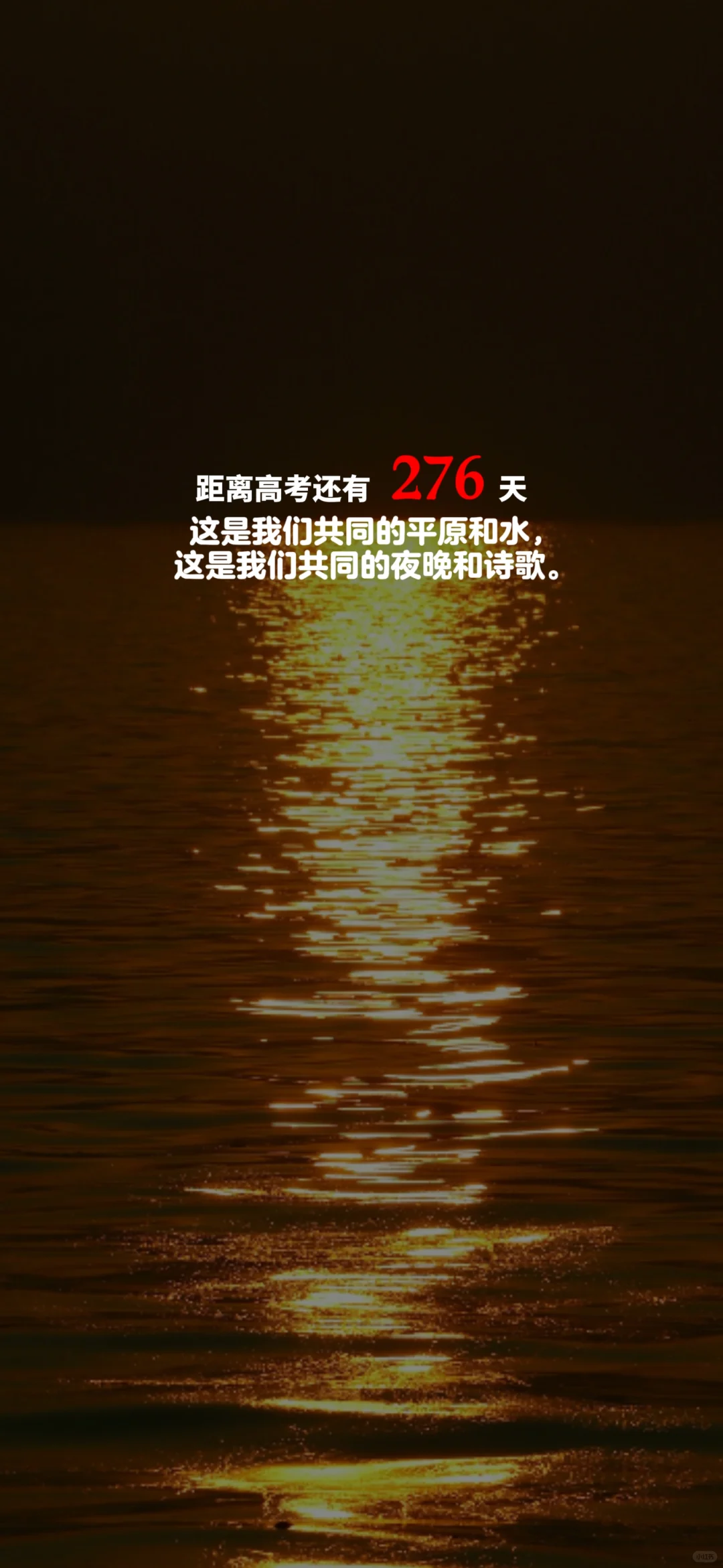 2024高考倒计时，每日更新。