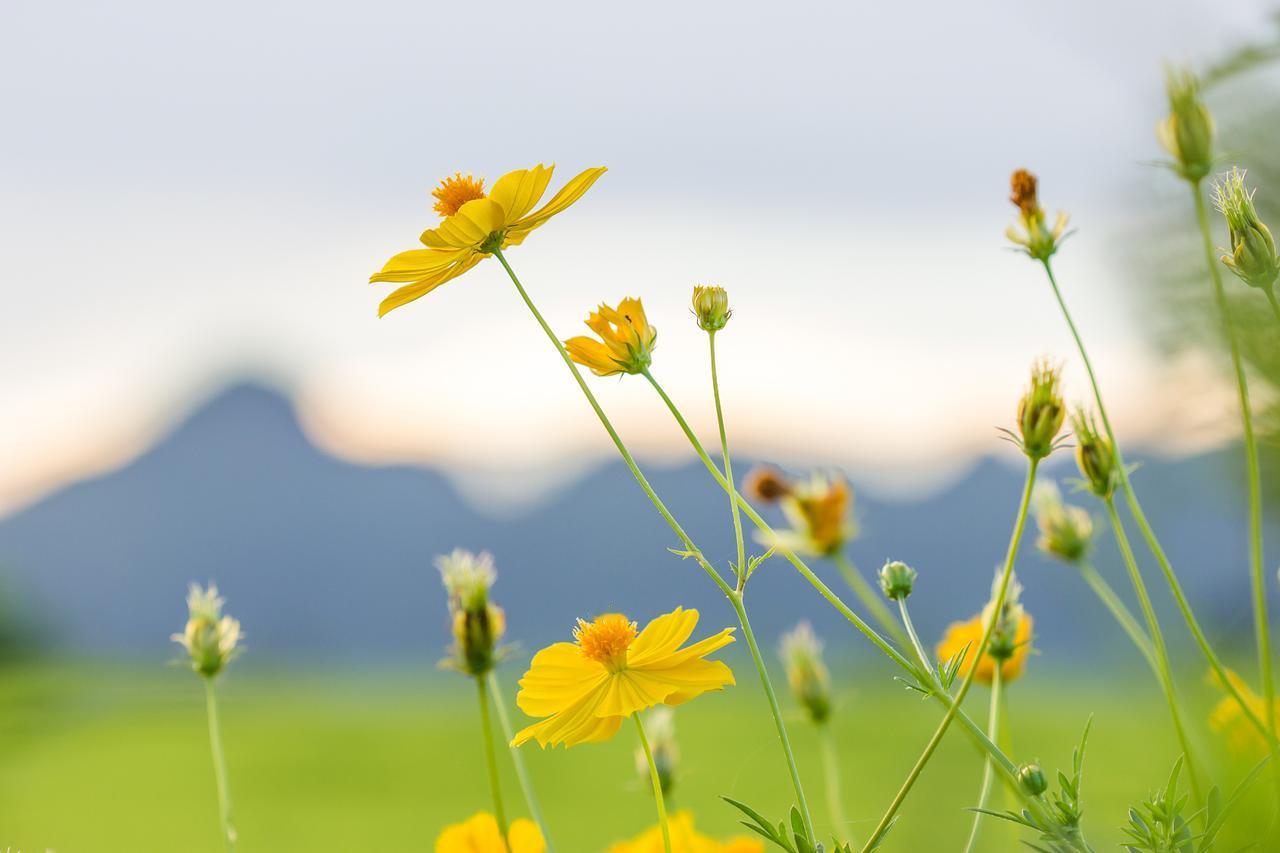 不太会教育孩子，没关系，做好这5点，孩子一样可以非常优秀~
1.多带孩子运动
经
