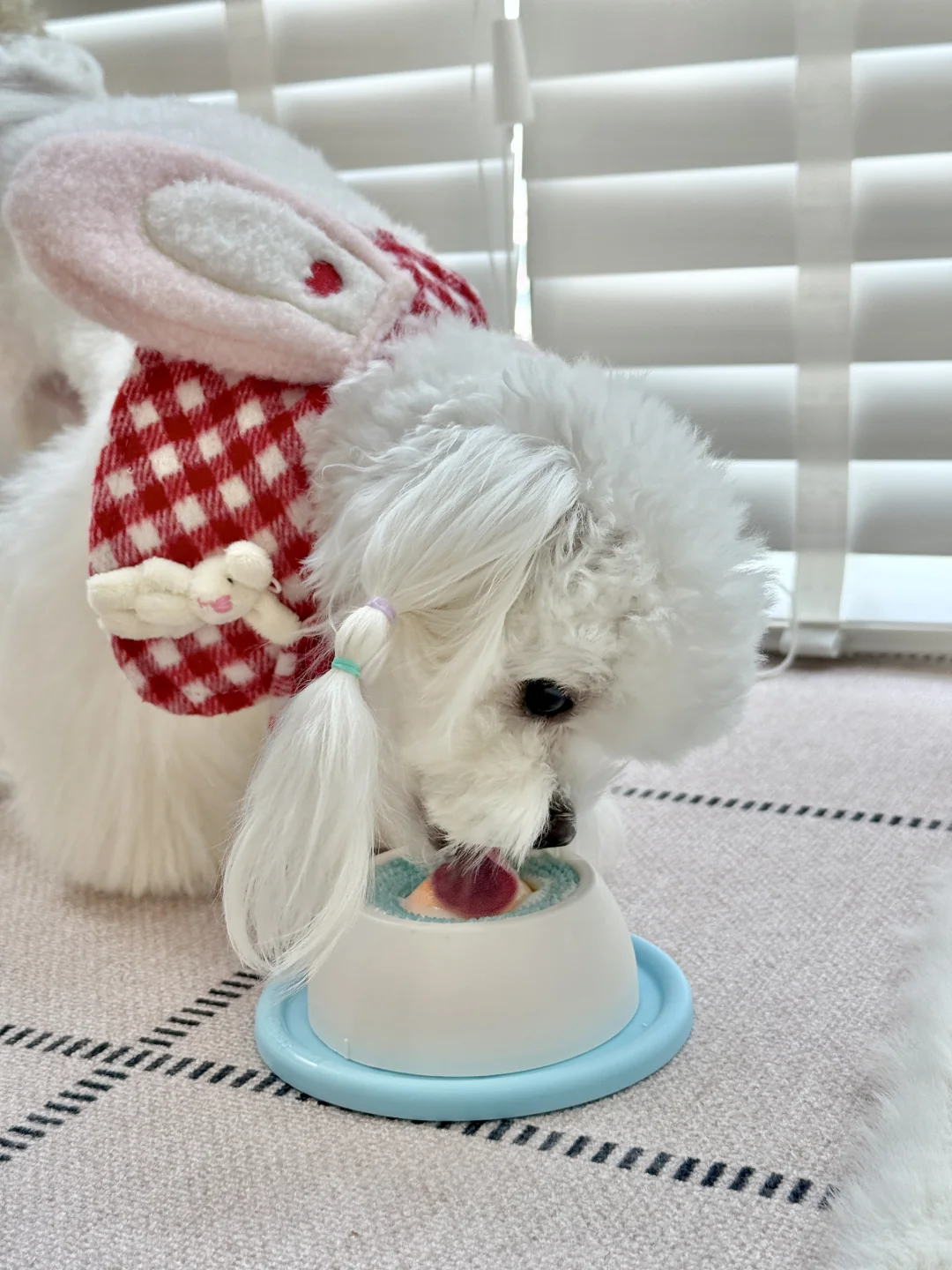 麻麻今天不想陪你出门了！我要自己在家玩！