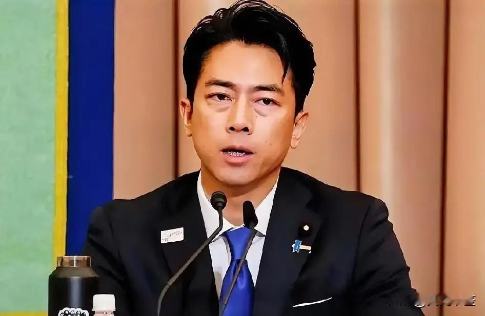 日本自己干了坏事还要装受害者！6月29日商务部发布公告，把20家助力日本扩军的机