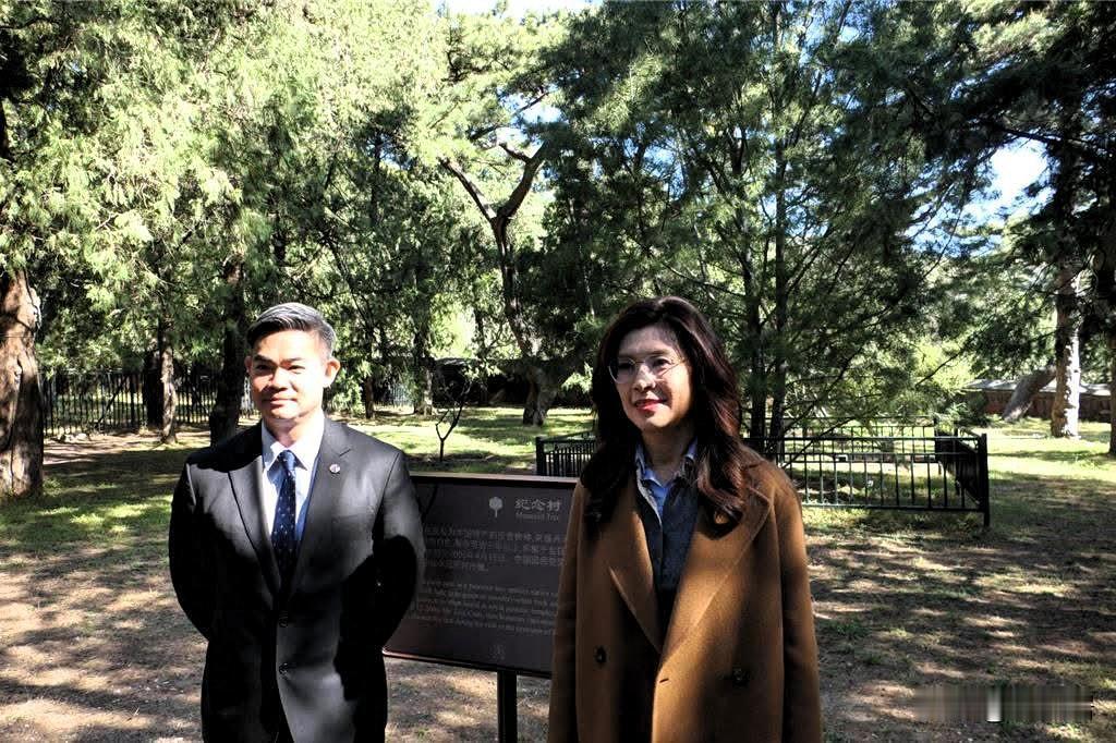 昨天，连胜武与郑丽文在北京碧云寺白皮松树下合影。连胜武是连战之子，其实多年前一起