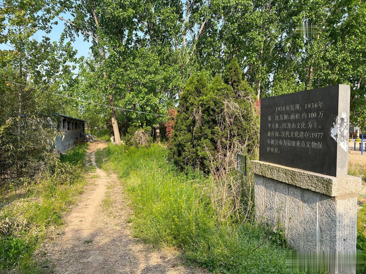 山东日照是一个历史文化底蕴丰厚的城市，这里有两城镇遗址。值得一看！[赞]

遗址